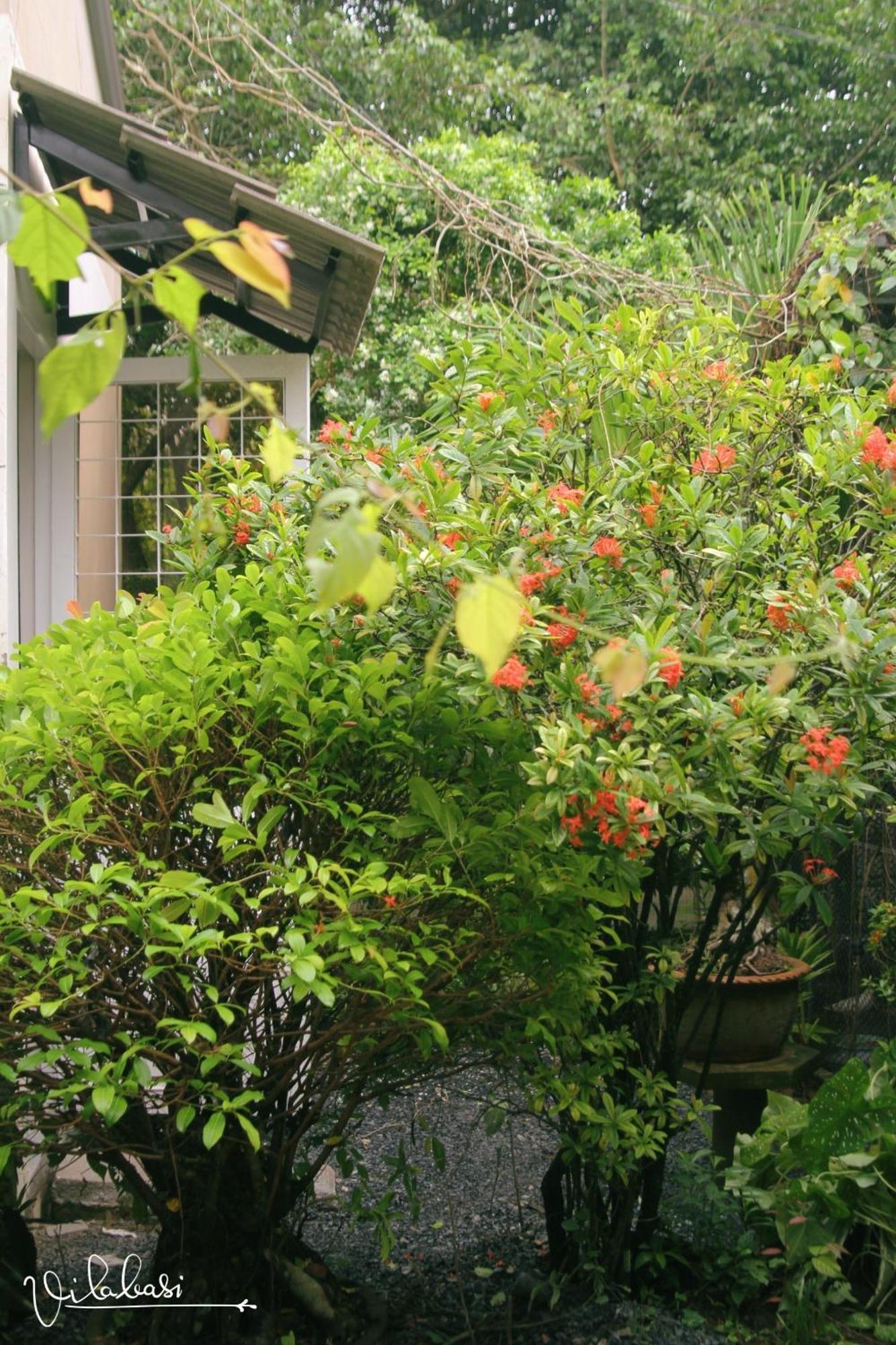 Nguyet Hang Vila Basi المظهر الخارجي الصورة